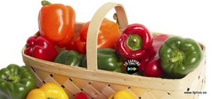 Plantel por docenas en Ferivo