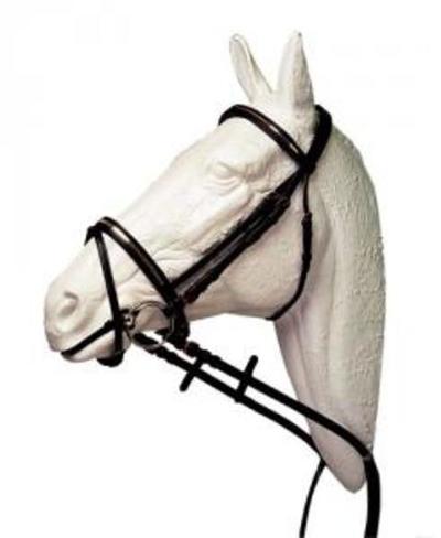 CABEZADA LEXHIS ADORNOS METÁLICOS RIENDAS GOMA