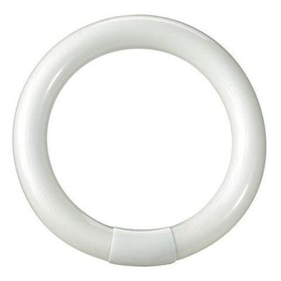 Tubo Fluorescente Circular Trifosfato 22w 216mm