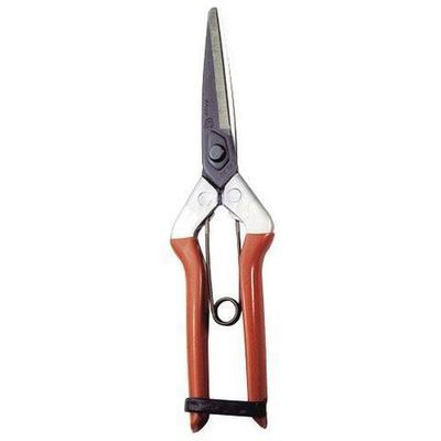 TIJERA CHIKAMASA RECOLECT. T-702 210 mm