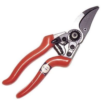 Tijera samurai podar   KS-8T 220 mm.1 Mano