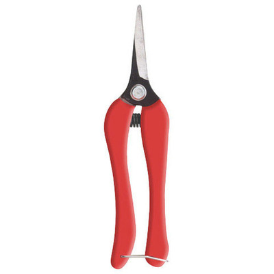 TIJERA WOLFPACK VENDIMIAR RECTA P10/18cm