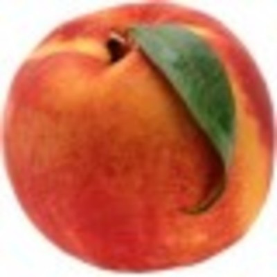 Melocotonero Rojo de Agosto 