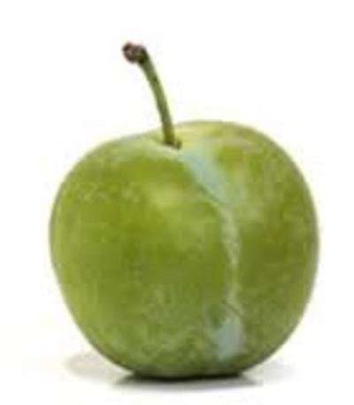 Ciruelo Reina Claudia