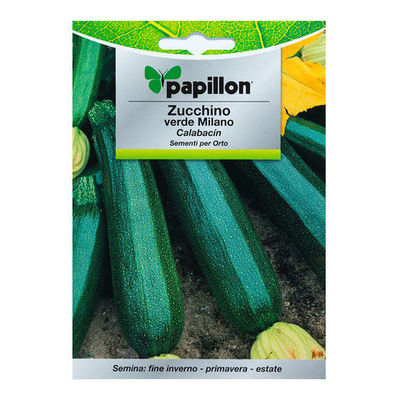 Semillas Calabacin Verde Oscuro (5 gramos)