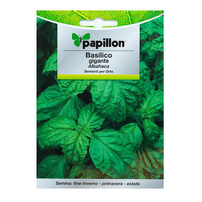 08093710 Semillas Aromáticas Albahaca Gigante (5 gramos)