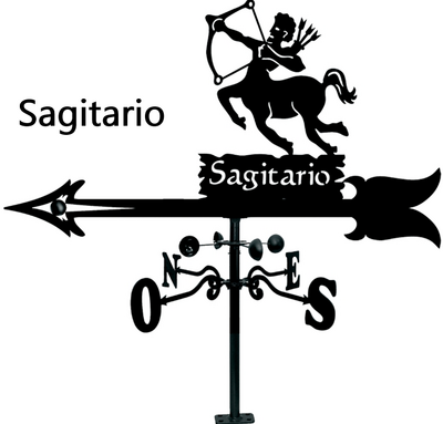 08096800  Veleta Acero Gallo 47x70 cm.