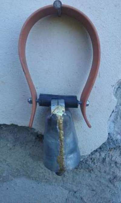 Collar de Cabra mas cencerro (Conjunto) 