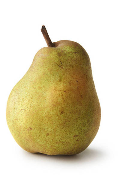 Peral general lecter