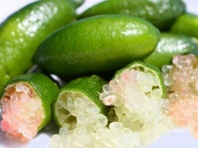 Caviar citrico (89401)