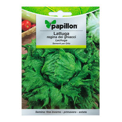 Semillas Huerto-lechuga Reina Del Hielo