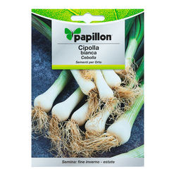 Semillas Huerto Cebolla Blanca