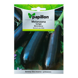 Semillas Huerto Berenjena Larga Morada