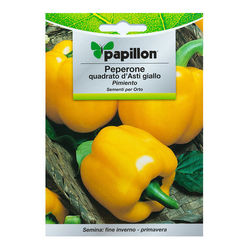 Semillas Pimiento Amarillo Cuadrado (1.5 gramos)