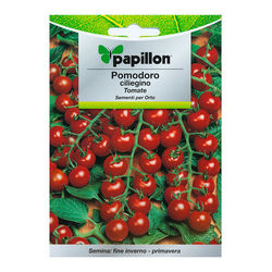 Semillas Tomate Cherry (1 gramo)