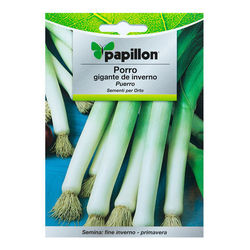 Semillas Puerro Largo De Invierno (3 gramos)