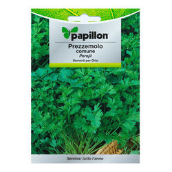Semillas huerto peregil comun (petroselinum crispum)