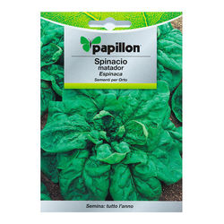 08093620 Semillas Espinaca Temprana (8 gramos)