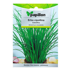 08093700 Semillas Aromáticas Cebollino (1 gramo)