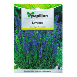 08093701 Semillas Aromáticas Lavanda (0.5 gramos)