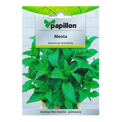 08093702 Semillas Aromáticas Menta (0.3 gramos)