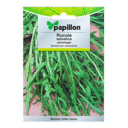 08093706 Semillas Aromáticas Rúcula Selvática (2.5 gramos)