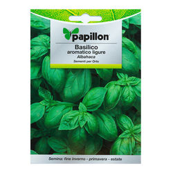 08093709 Semillas Aromáticas Albahaca Aromatica (5 gramos)