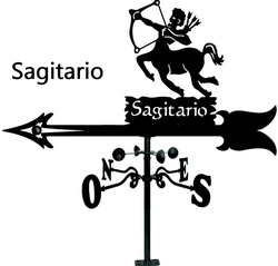 08096800  Veleta Acero Gallo 47x70 cm.